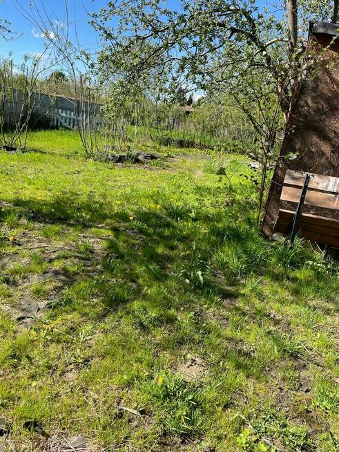 Duża działka ROD, ogrodowa ok 600m2 - super okazja!