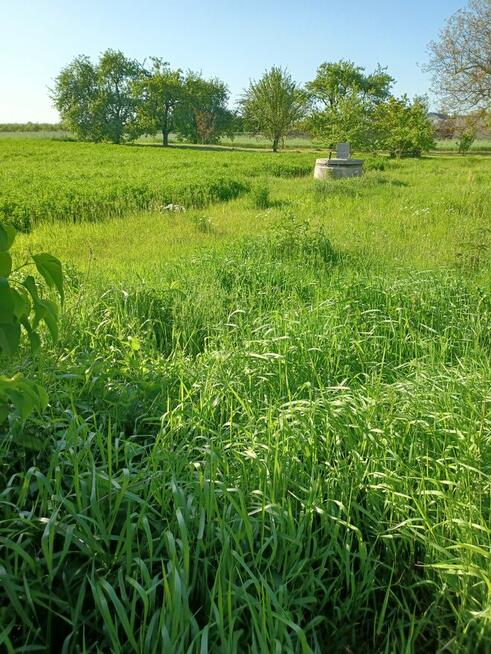 Działka przy drodze 3000m2 Mieczysławów woj. Świętokrzyskie