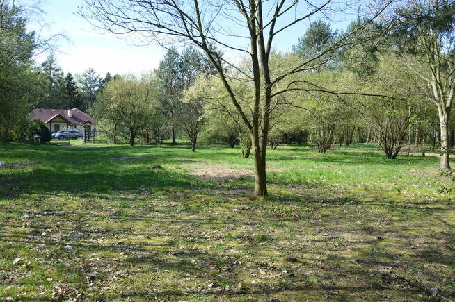 Działka pod twój dom przy lesie – okolice Lutomierska.
