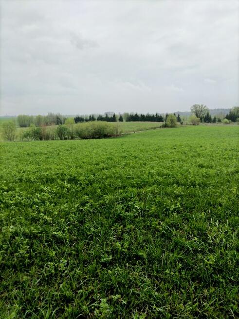 Wiśniowo Ełckie - działka 1400 m2 - z warunkami zabudowy