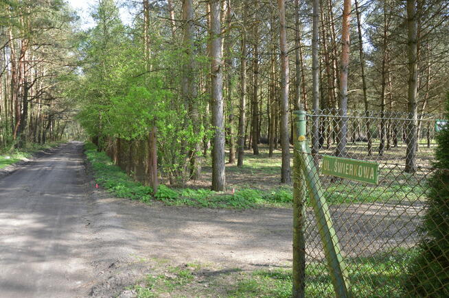 Działka pod twój dom przy lesie – okolice Lutomierska.