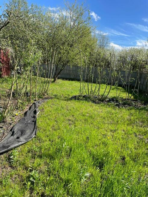 Duża działka ROD, ogrodowa ok 600m2 - super okazja!