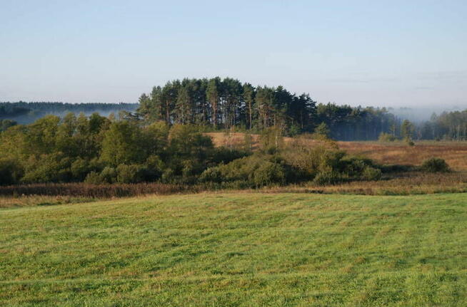 Działki - usługi turystyczne nad Jeziorem Dybowskim. Rożyńsk