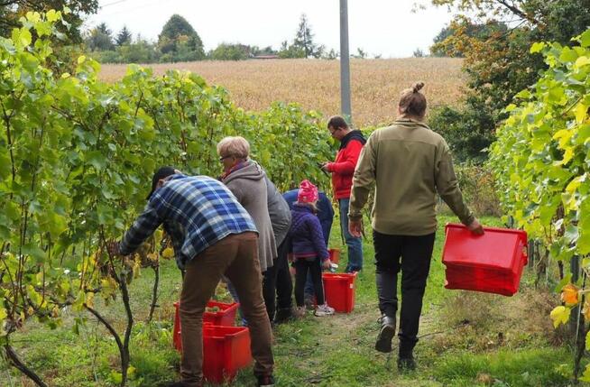 Siedlisko Na Polanie & Apartamenty Lipka WIELKA 31