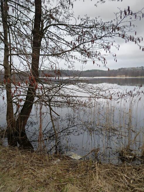 Działka w Gąskach - płaski teren z linią brzegową jeziora