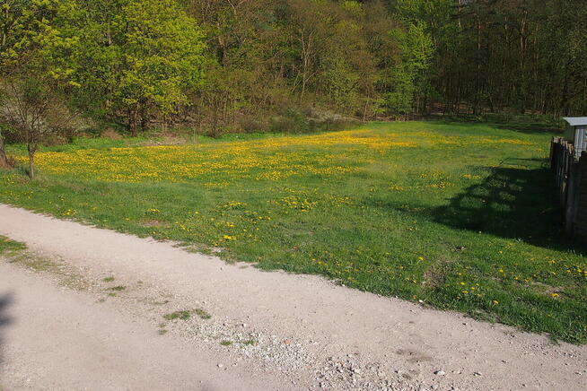 Zamek Bierzgłowski działka