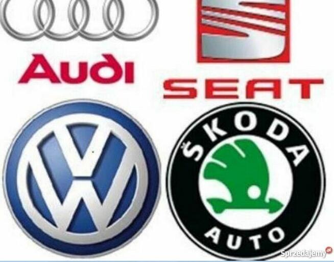 ODCZYT Kasowanie Błędów Vw Audi Seat Skoda i Inne