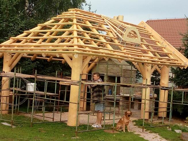 Altanki trzcina , dachy