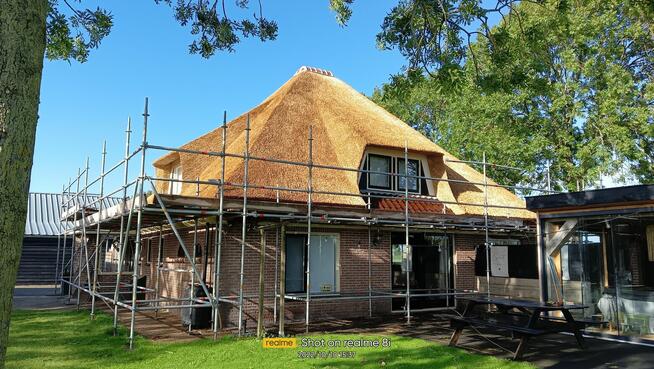 Altanki trzcina , dachy