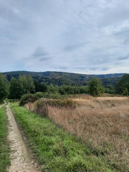 Pole, dzialka ,las, gmina Słonne obok Dubiecka