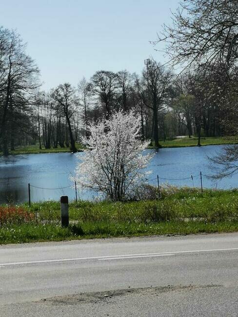 Domek wakacyjny nad morzem w Jantarze