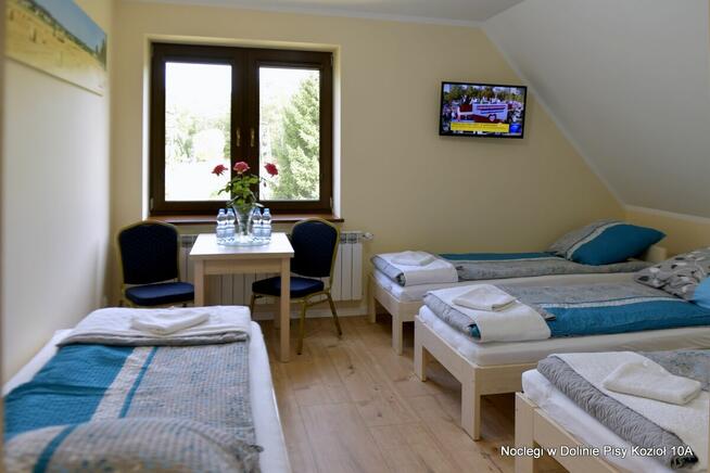 Noclegi w Dolinie Pisy, Kozioł 10A