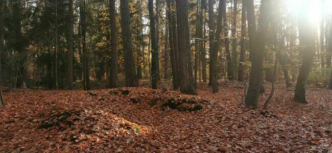 Domek wakacyjny nad morzem w Jantarze