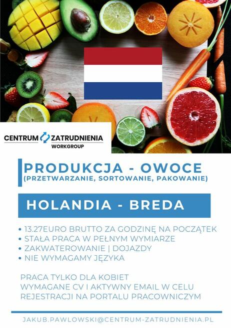 HOLANDIA - praca dla kobiet - owoce/warzywa - bez języka