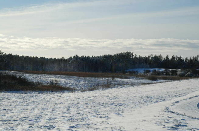 Działki - usługi turystyczne nad Jeziorem Dybowskim. Rożyńsk