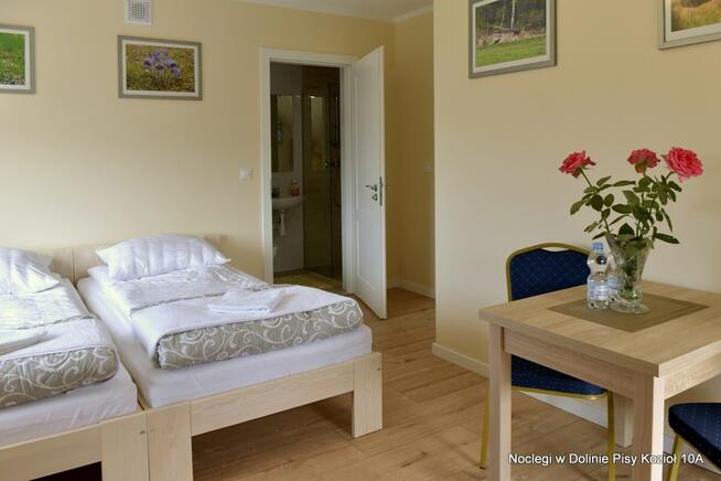 Noclegi w Dolinie Pisy, Kozioł 10A