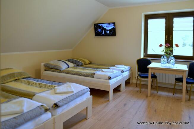 Noclegi w Dolinie Pisy, Kozioł 10A