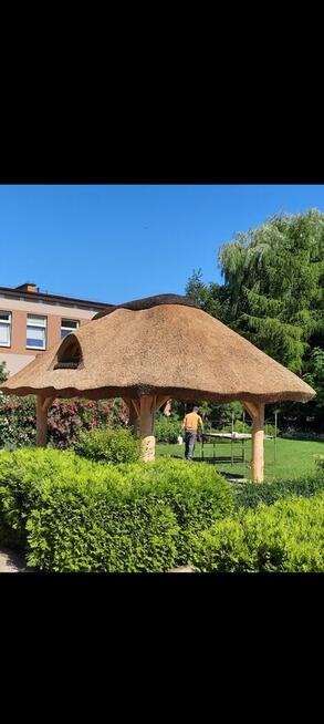 Altanki trzcina , dachy