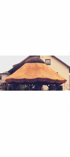 Altanki trzcina , dachy