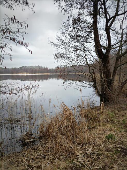 Działka w Gąskach - płaski teren z linią brzegową jeziora