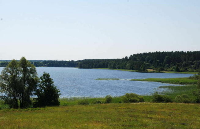 Działki - usługi turystyczne nad Jeziorem Dybowskim. Rożyńsk