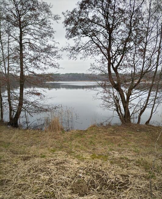 Działka w Gąskach - płaski teren z linią brzegową jeziora
