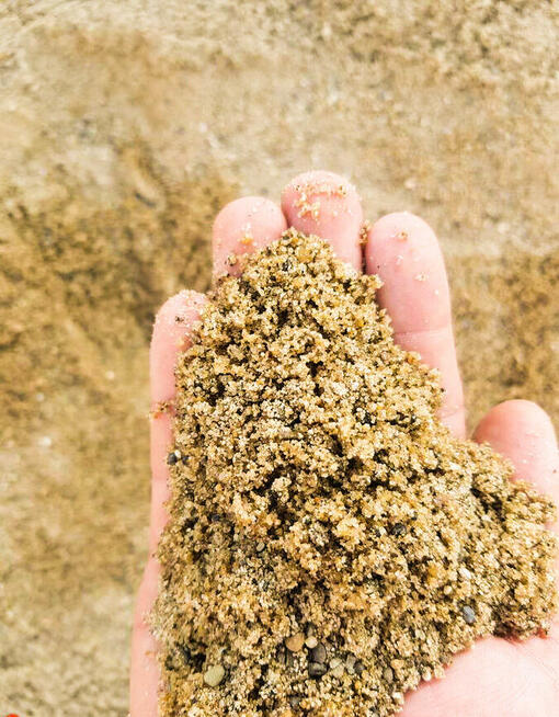 Ziemia ogrodowa siana - bez zanieczyszczeń, trawniki, ogrody