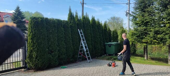 Usługi ogrodnicze, koszenie