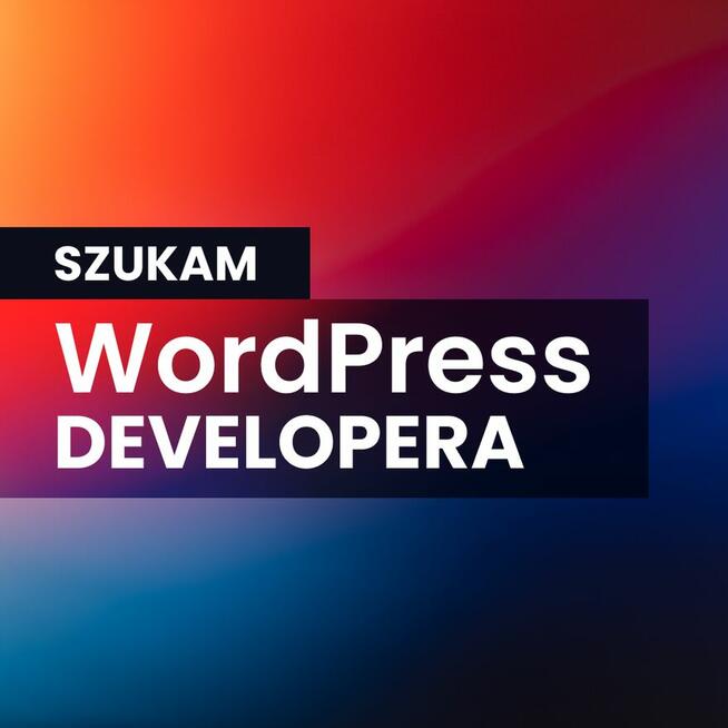 Wordpress Webdeveloper