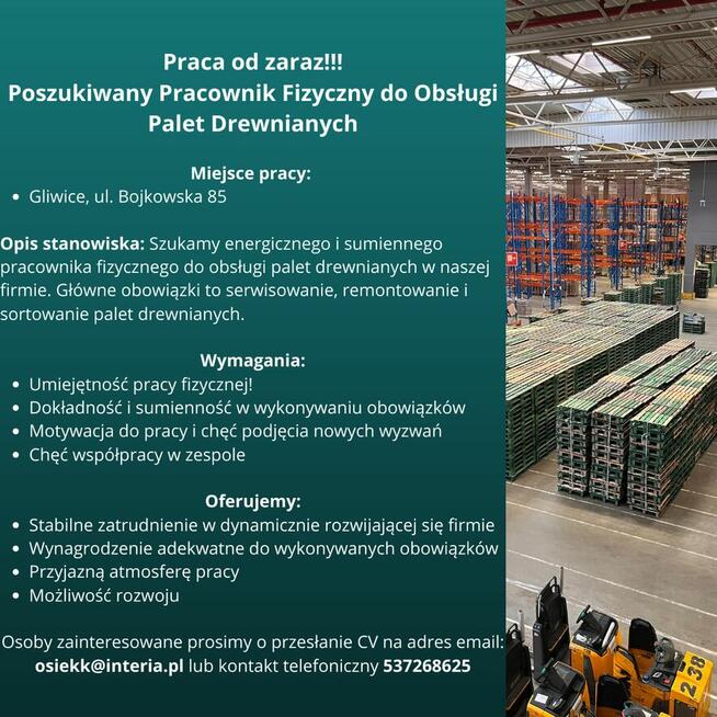 Praca fizyczna . Serwis, remont Palet drewnianych