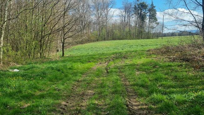 Siedlisko w Kończycach Wielkich na sprzedaż.