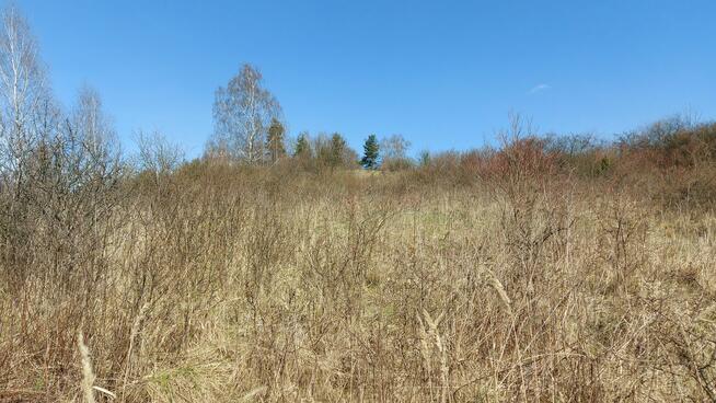 Niegowoniczki, widokowa działka