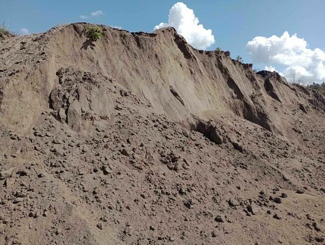 Ziemia ogrodowa siana - bez zanieczyszczeń, trawniki, ogrody