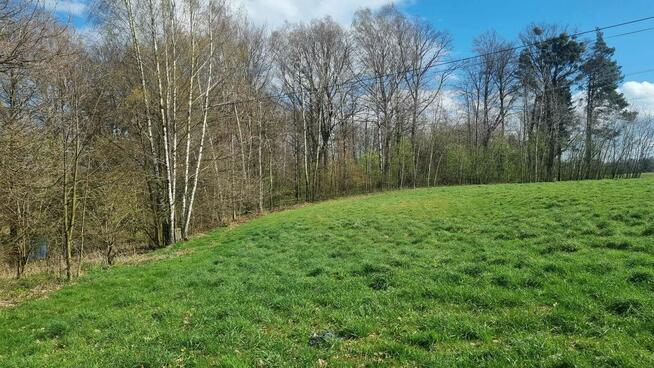 Siedlisko w Kończycach Wielkich na sprzedaż.