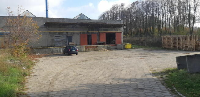MAGAZYN Logistyczny z RAMPĄ i PLACEM manewrowym w ŁASKU