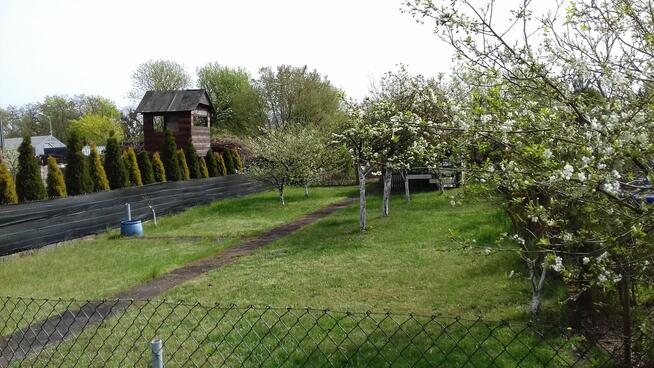 Działka ROD przy Okrężnej..