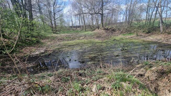 Siedlisko w Kończycach Wielkich na sprzedaż.