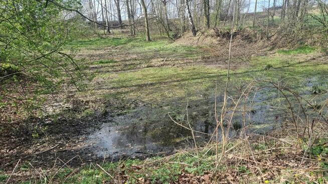 Siedlisko w Kończycach Wielkich na sprzedaż.