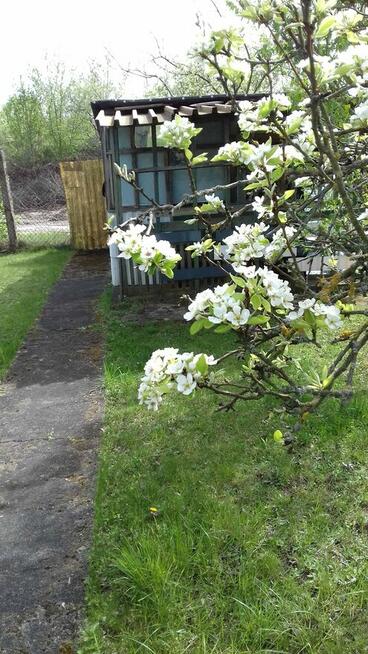 Działka ROD przy Okrężnej..