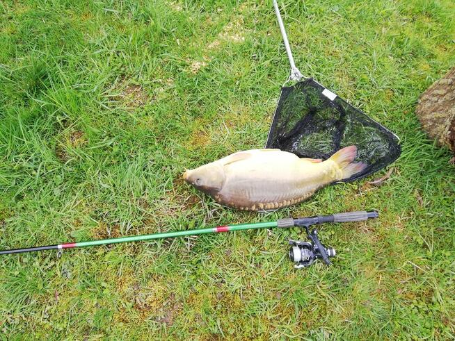 Łowisko pokoje do wynajęcia