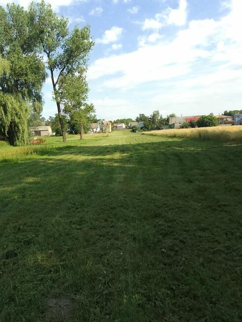 Sprzedam działkę 3300 m lub wynajmę