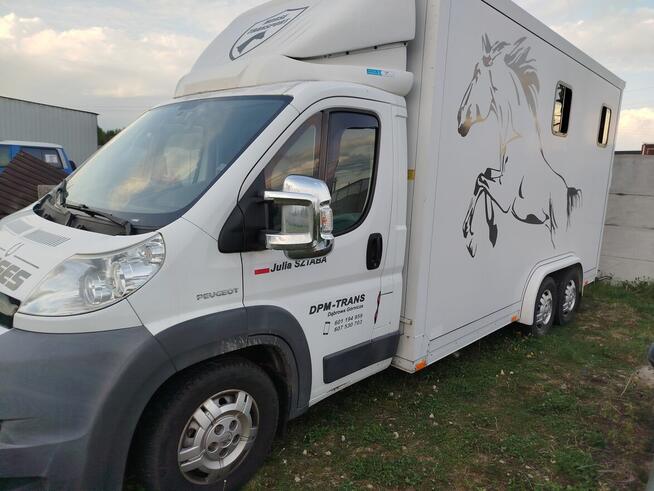 Sprzedam peugeot boxer do przewozu koni