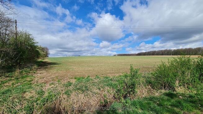 Na sprzedaż dom wraz z polem ornym Piotrowice