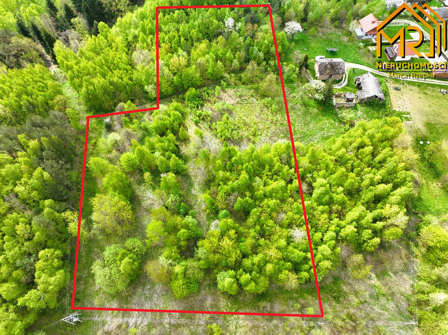Działka rolno-budowlana Słona gm. Zakliczyn