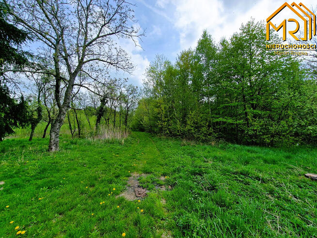 Działka rolno-budowlana Słona gm. Zakliczyn