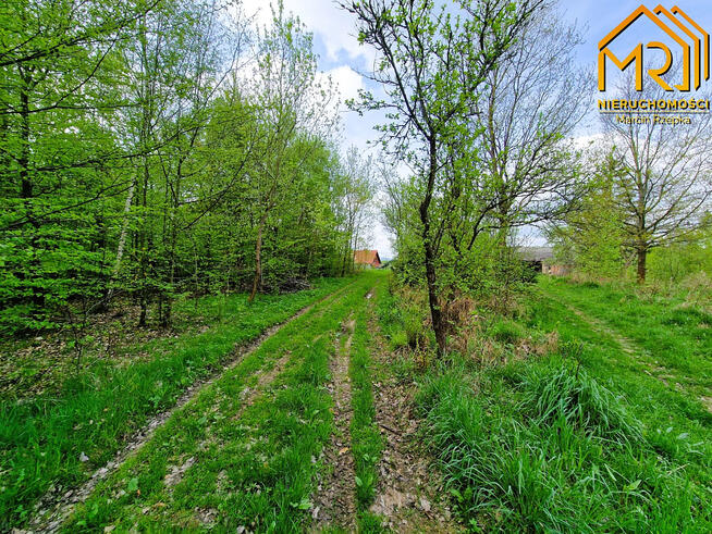 Działka rolno-budowlana Słona gm. Zakliczyn