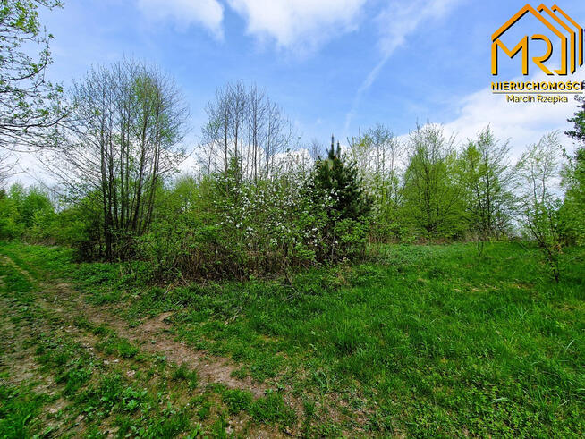 Działka rolno-budowlana Słona gm. Zakliczyn