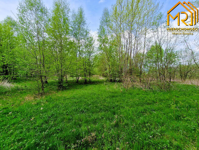 Działka rolno-budowlana Słona gm. Zakliczyn