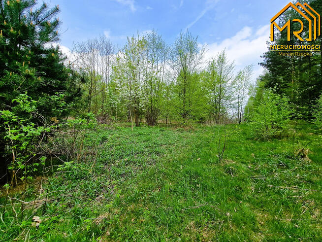 Działka rolno-budowlana Słona gm. Zakliczyn