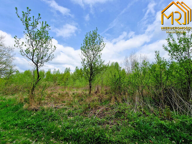 Działka rolno-budowlana Słona gm. Zakliczyn